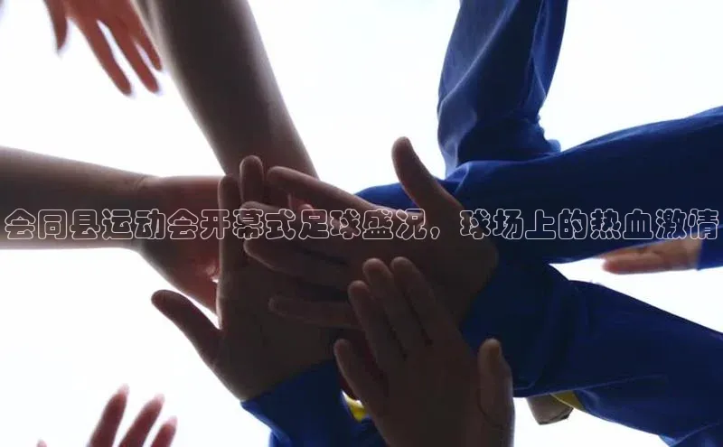 加拿大28圈预测准确率高的普信公司会同县运动会开幕式足球盛况，球场上的热血激情