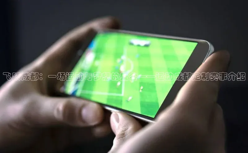 飞跃成都：一场运动与梦想的盛会——运动成都定制赛事介绍