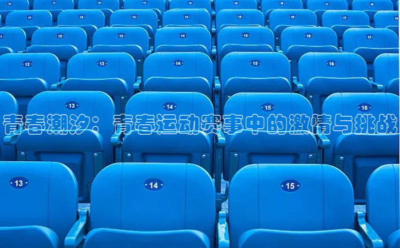 青春潮汐：青春运动赛事中的激情与挑战