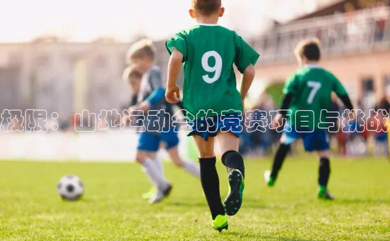 极限：山地运动会的竞赛项目与挑战